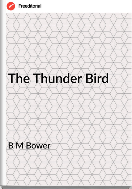 B M Bower The Thunder Bird