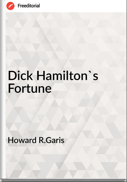 Howard R.Garis Dick Hamilton's Fortune